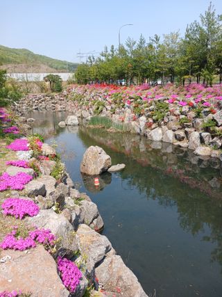 상원(尙沅)님의 자유주제 · 사진전 작성글 사진