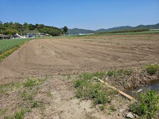 태이린팜님의 자유주제 · 자유게시판 작성글 사진