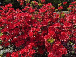 오종성님의 자유주제 · 사진전 작성글 사진