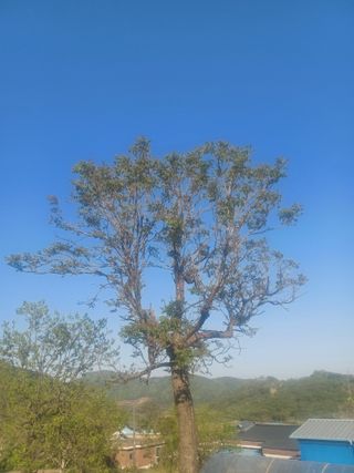 무료지식나눔 팜닥터님의 자유주제 · 자유게시판 작성글 사진
