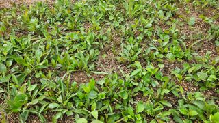 조병대님의 작성글 사진