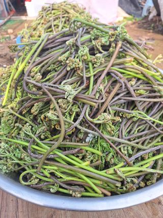 가수지현아님의 자유주제 · 자유게시판 작성글 사진