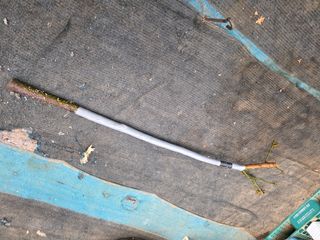 산양삼님의 자유주제 · 자유게시판 작성글 사진