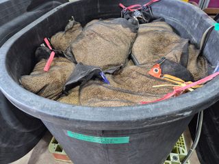 김영진(전남영광)님의 자유주제 · 자유게시판 작성글 사진