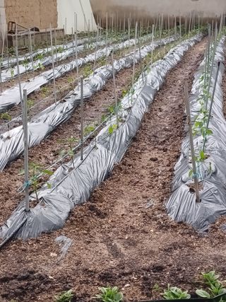 이영자 님의 자유주제 · 자유게시판 작성글 사진