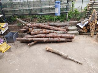 이현상님의 자유주제 · 자유게시판 작성글 사진