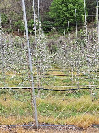 손기홍님의 자유주제 · 사진전 작성글 사진