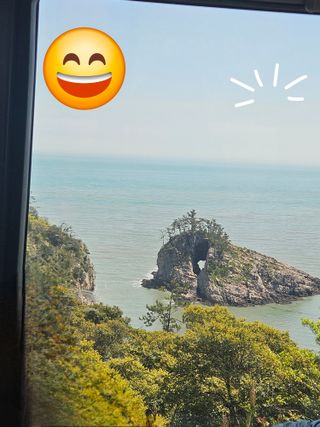 제주 지안이네농장님의 자유주제 · 자유게시판 작성글 사진