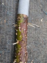 팜모닝 자유주제·자유게시판 게시글 이미지