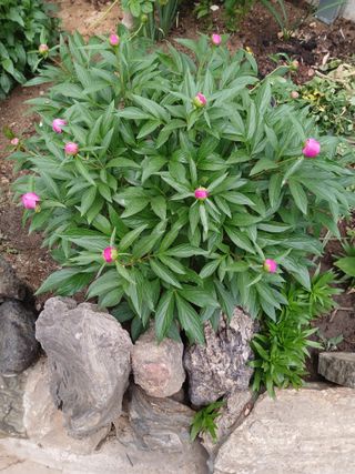 이영자 님의 자유주제 · 자유게시판 작성글 사진