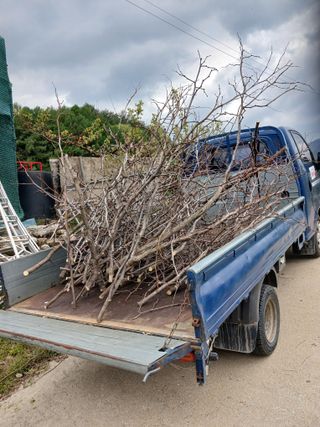 알 수 없음님의 자유주제 · 자유게시판 작성글 사진