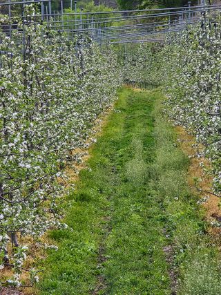 손기홍님의 자유주제 · 사진전 작성글 사진