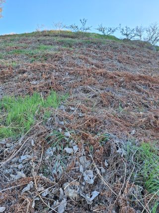 하동베리굿베리팜님의 작성글 사진