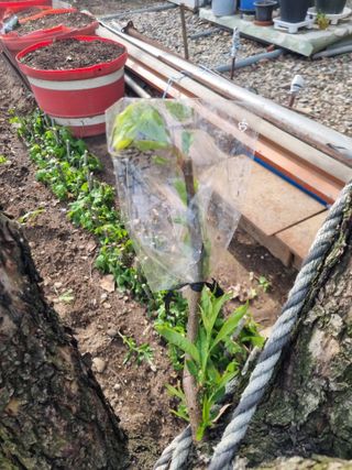 김용대님의 자유주제 · 자유게시판 작성글 사진