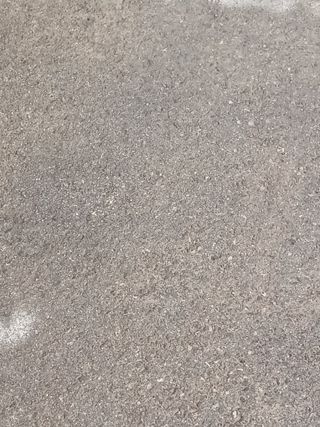 이영자 님의 자유주제 · 자유게시판 작성글 사진