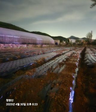 삼성농산님의 자유주제 · 자유게시판 작성글 사진