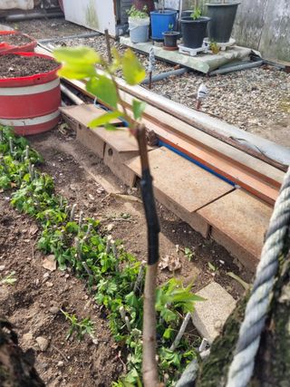 김용대님의 자유주제 · 자유게시판 작성글 사진