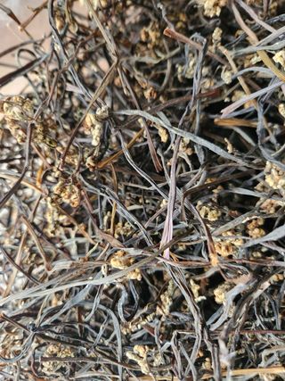 수산자매농장님의 작성글 사진