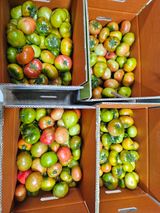 팜모닝 자유주제·자유게시판 게시글 이미지