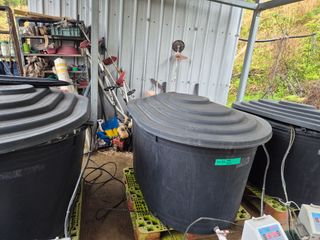 김영진(전남영광)님의 자유주제 · 자유게시판 작성글 사진