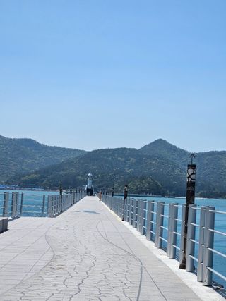 제주 지안이네농장님의 자유주제 · 자유게시판 작성글 사진