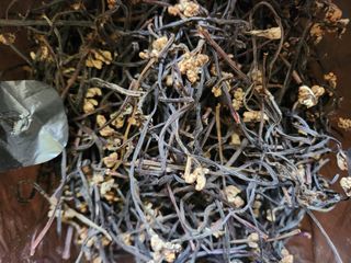 수산자매농장님의 작성글 사진