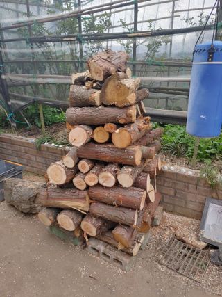 이현상님의 자유주제 · 자유게시판 작성글 사진