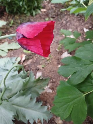 이영자 님의 자유주제 · 자유게시판 작성글 사진