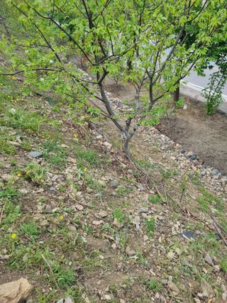 김용대님의 자유주제 · 자유게시판 작성글 사진