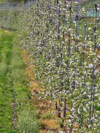 손기홍님의 자유주제 · 사진전 작성글 사진