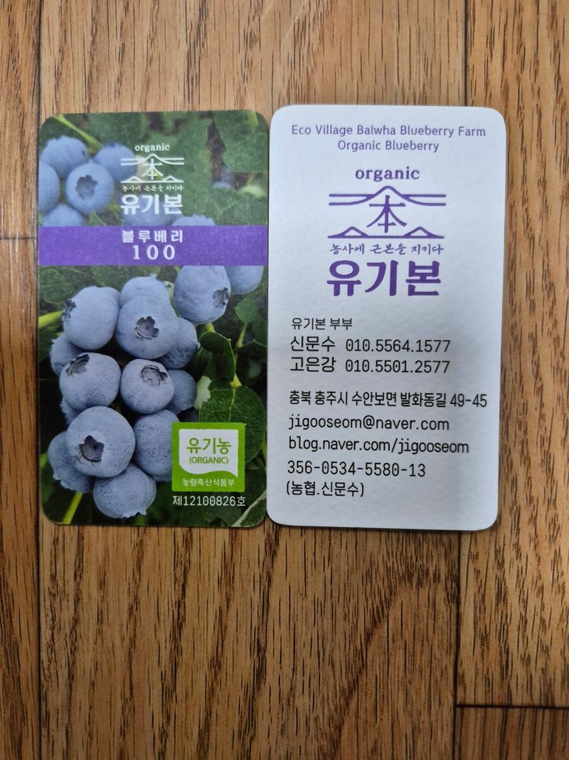 0105564157님의 장터 판매 상품 [블루베리 묘목] 첨부 사진