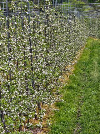 손기홍님의 자유주제 · 사진전 작성글 사진
