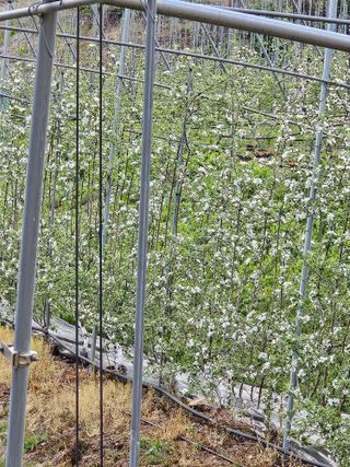 손기홍님의 자유주제 · 사진전 작성글 사진