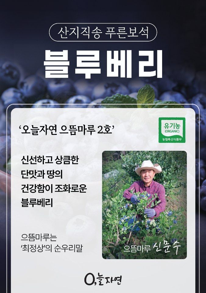 0105564157님의 장터 판매 상품 [블루베리 묘목] 첨부 사진