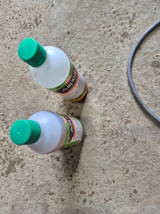 김영진(전남영광)님의 자유주제 · 자유게시판 작성글 사진