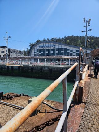 제주 지안이네농장님의 자유주제 · 자유게시판 작성글 사진