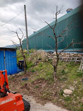 알 수 없음님의 자유주제 · 자유게시판 작성글 사진