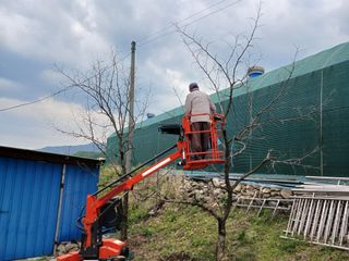 알 수 없음님의 자유주제 · 자유게시판 작성글 사진