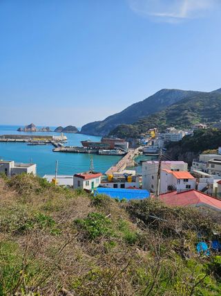 제주 지안이네농장님의 자유주제 · 자유게시판 작성글 사진