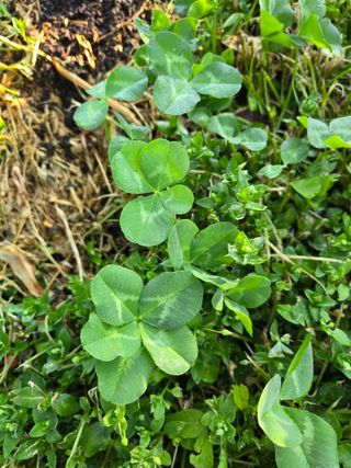 박정희 님의 자유주제 · 자유게시판 작성글 사진