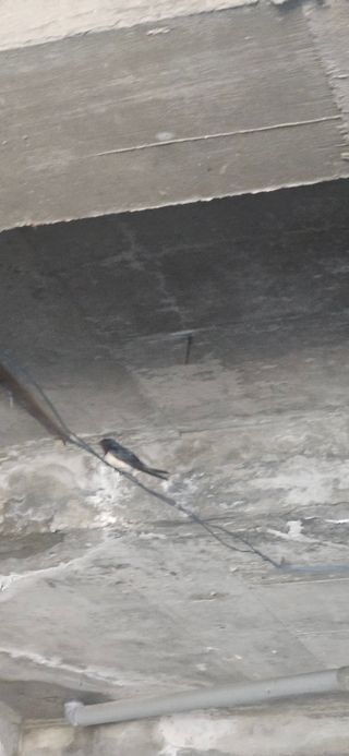 구춘봉님의 자유주제 · 자유게시판 작성글 사진