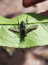 팜모닝 자유주제·자유게시판 게시글 이미지