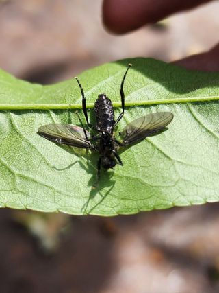 시연아빠님의 자유주제 · 자유게시판 작성글 사진