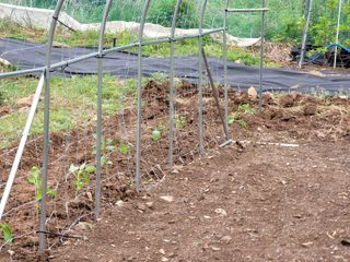 이철희님의 자유주제 · 자유게시판 작성글 사진