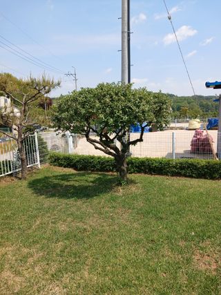 상원(尙沅)님의 자유주제 · 사진전 작성글 사진