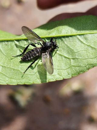 시연아빠님의 자유주제 · 자유게시판 작성글 사진