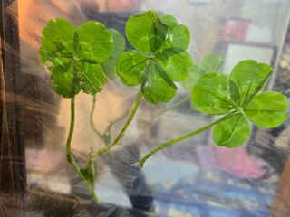 박정희 님의 자유주제 · 자유게시판 작성글 사진