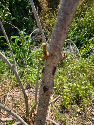 김희영님의 자유주제 · 자유게시판 작성글 사진