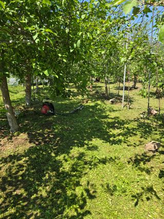 최동구님의 자유주제 · 자유게시판 작성글 사진