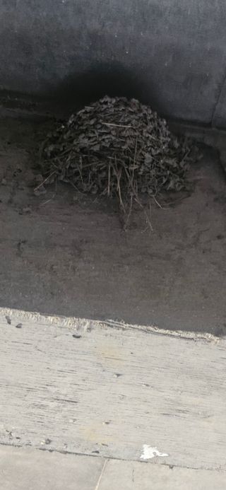 구춘봉님의 자유주제 · 자유게시판 작성글 사진